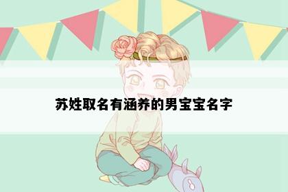 苏姓取名有涵养的男宝宝名字