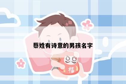 蔡姓有诗意的男孩名字