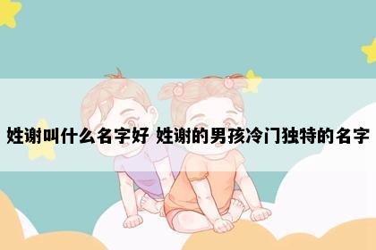 姓谢叫什么名字好 姓谢的男孩冷门独特的名字
