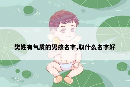 樊姓有气质的男孩名字,取什么名字好